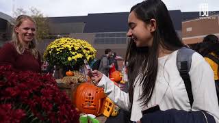 Fall Festival 2022