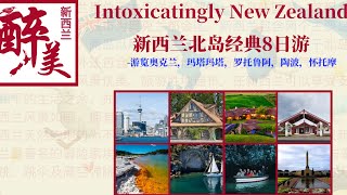 醉美新西兰 -北岛8日经典之旅/奥克兰/玛塔玛塔/罗托鲁瓦/陶波/怀托摩