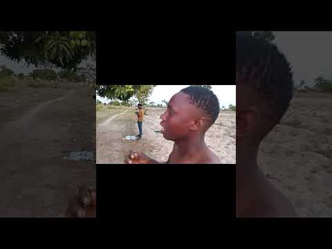 10 November 2025 10 November 2025