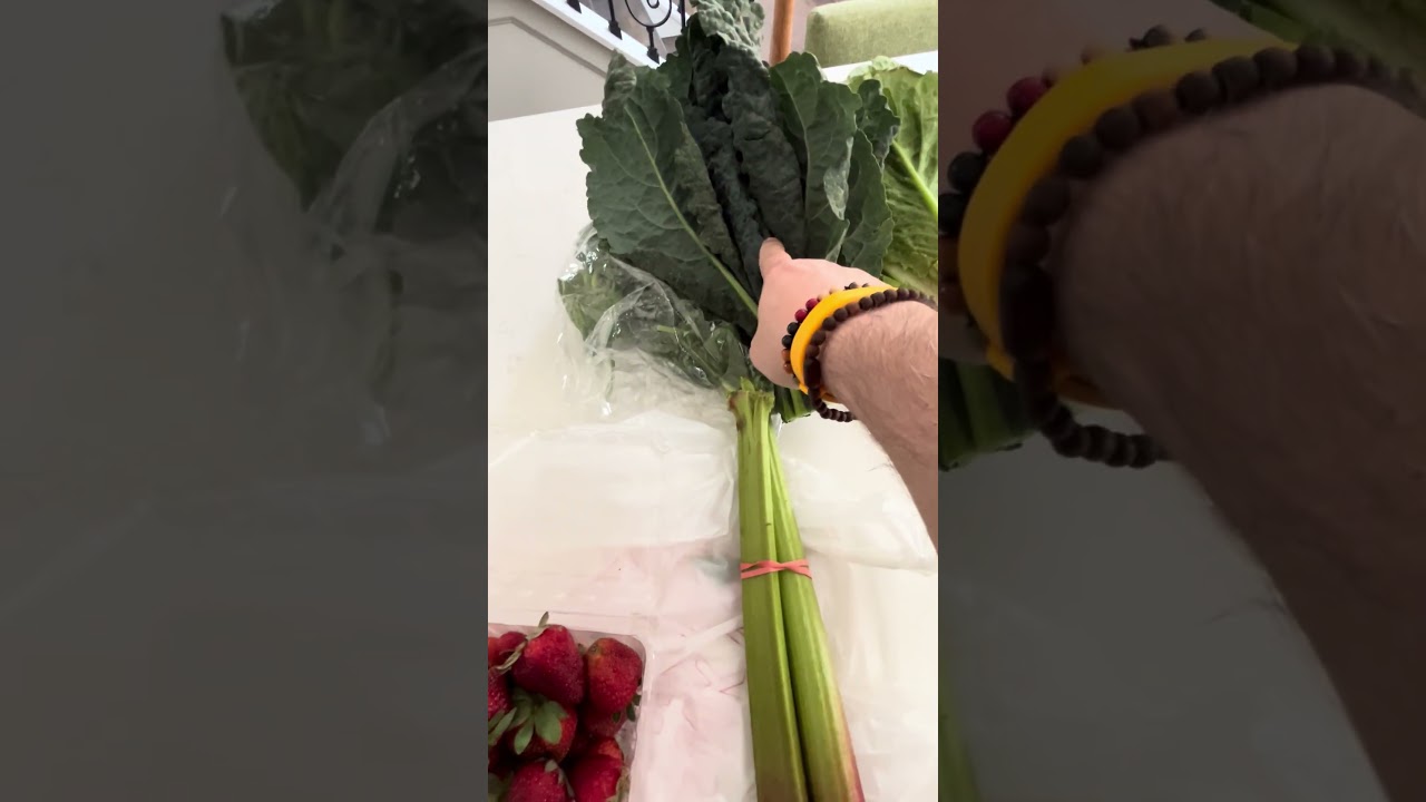 Our new CSA harvest…