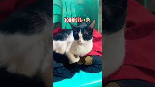 Ohh yeah #viral #viralvideo #ytshorts Ohh yeah #viral #viralvideo #ytshorts