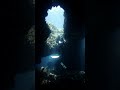 One of my favorites and moments underwater  freediving cavediving