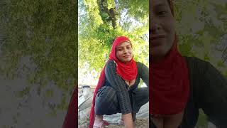 Today I Have Come To Make Cow Dung Cakes. Making Cow Dung Cakes Has Started In The Village. ...