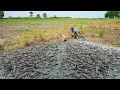 Best Fishing in Mud Using Hand - Amazing Catching &amp; Catfish in Lotus Lake