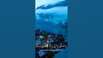 ﴿ فَاذْكُرُونِي أَذْكُرْكُمْ وَاشْكُرُوا لِي وَلَا تَكْفُرُونِ﴾[ البقرة: 152] القارئ اسلام صبحي