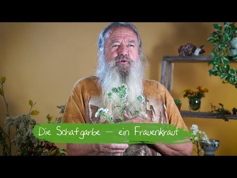 Die Schafgarbe - Ein Frauenkraut