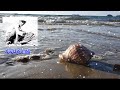 《아버지의 술잔》 무한 반복 듣기