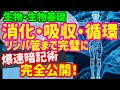 【生物基礎 9】代謝【消化吸収、循環系】を宇宙一わかりやすく