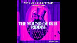 The Sound Of Dub Riddim (Full) (OFFICIAL MIX) Feat. Ras Moses, Norris Man, Abba, (April 2024) by DJLass Angel Vibes 3,775 views 1 month ago 20 minutes