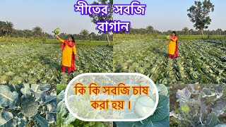 শীতের সবজি বাগান / কি কি সবজি চাষ করা হয়। Vegetable garden / farm fresh vegetables