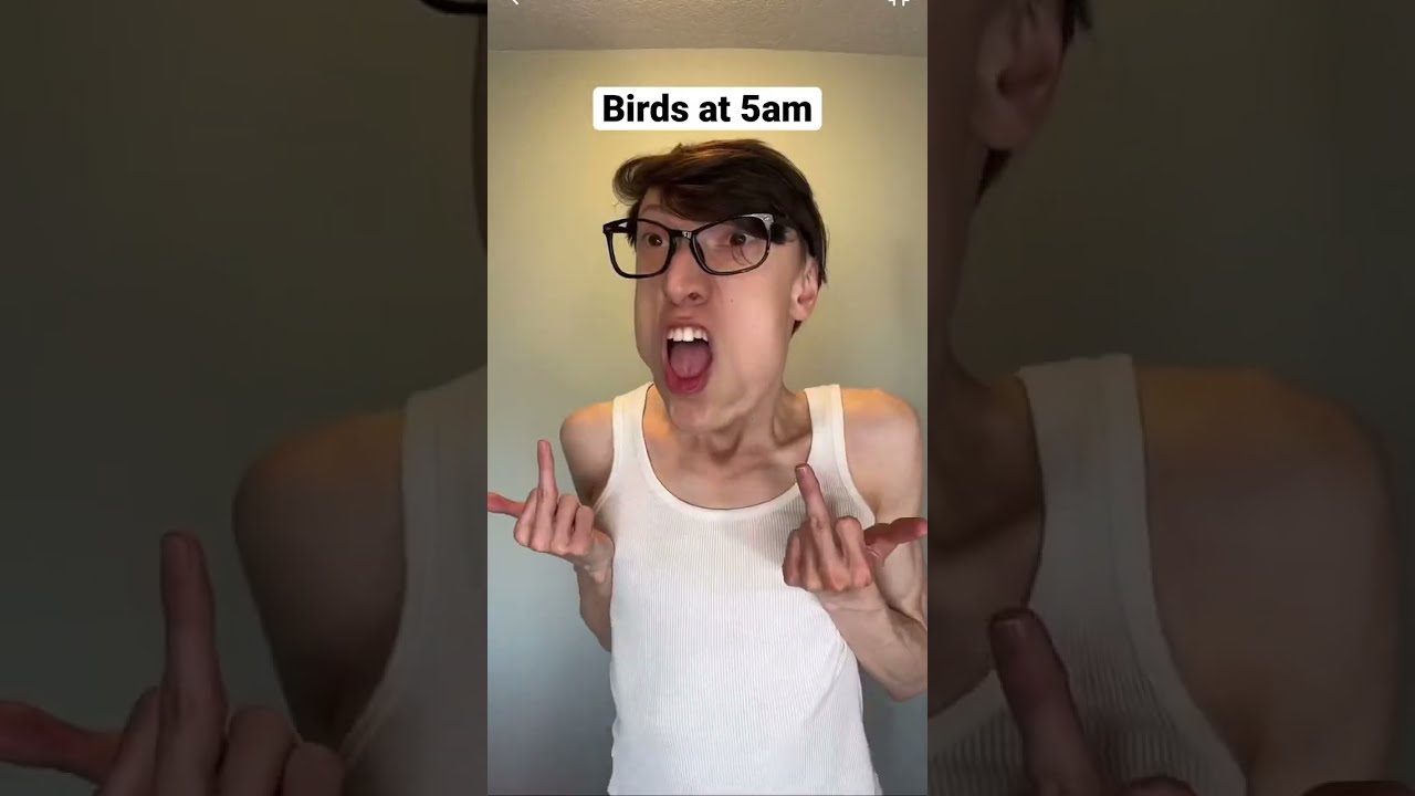 Birds At 5am Be Like TheManniiShow Com Series