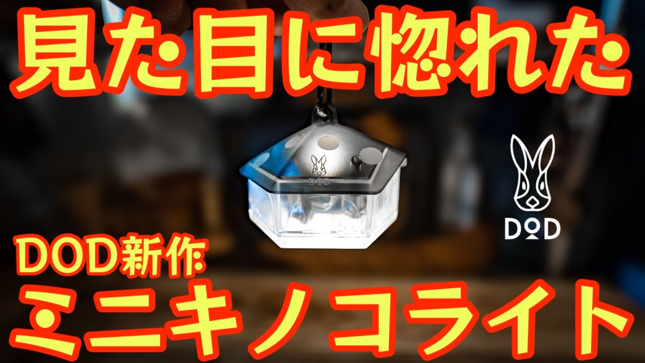 【韓国限定】　DOD キノコライト DOD's new product is awesome] It looks perfect! The 