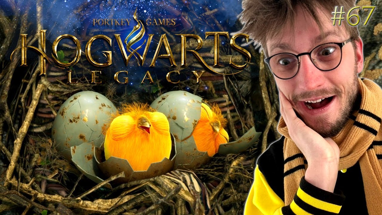 Wir RETTEN diese vom AUSSTERBEN BEDROHTEN VÖGEL 🥺 | HOGWARTS LEGACY #67