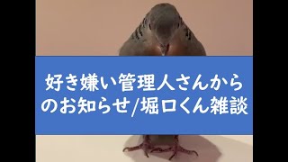 暇空茜の配信のサムネイル画像