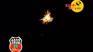 CGF-1032.wmv