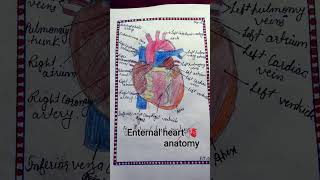 fig-enternal heart anatomy &amp; conducting system #heart #medical