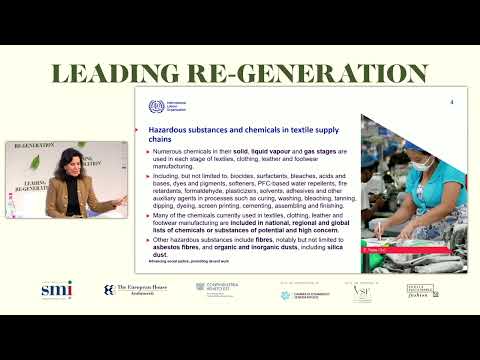 Speech by Manal Azzi, Team Lead on Occupational Safety and Health, International Labour Organization