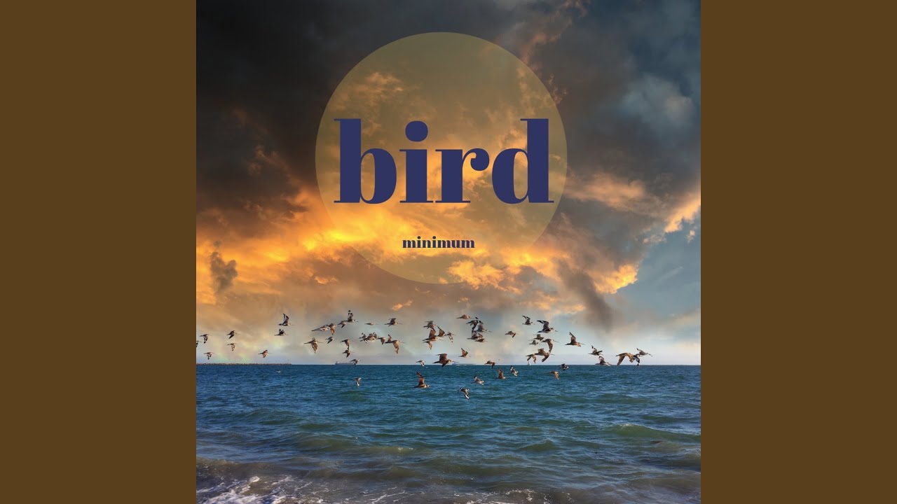 Watch bird on YouTube Watch bird on YouTube