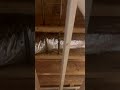 The other part to the pro press video. Half bath rough in. #plumbinglife4me #plumber #jesuschrist