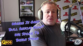 Where Is Grey Bull Rescue Active Now? We Heard From Founder Bryan Stern.