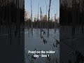 Pond on the colder day - Dec 1 #canada #nature #ottawa