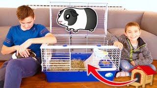 LA NOUVELLE MAISON DE NOTRE COCHON D'INDE OREO ! 🏠🐹