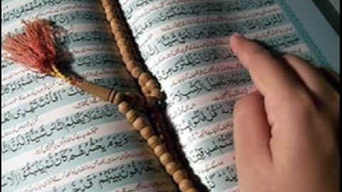 نبيل العوضي تلاوة رائعة