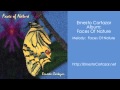 Faces Of Nature - Ernesto Cortazar