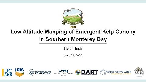 DroneCamp 2020: Low Altitude Mapping of Emergent Kelp Canopy in Southern Monterey Bay