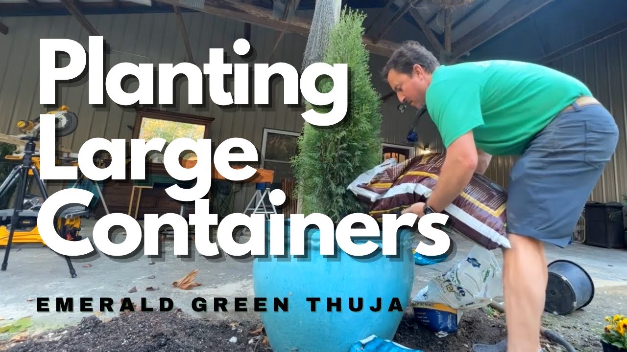 Planting Large Containers 🪴 - YouTube