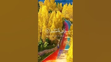 #القرآن الكريم ربيع القلوب ❤🦋