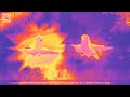 The language of the birds🐦🐦// Subscribe//Sponsored by Gamavision preview 2 Scupo Effects//