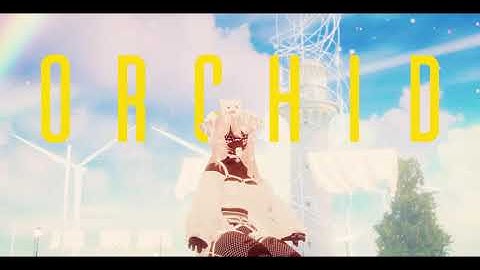 Orchid Showcase