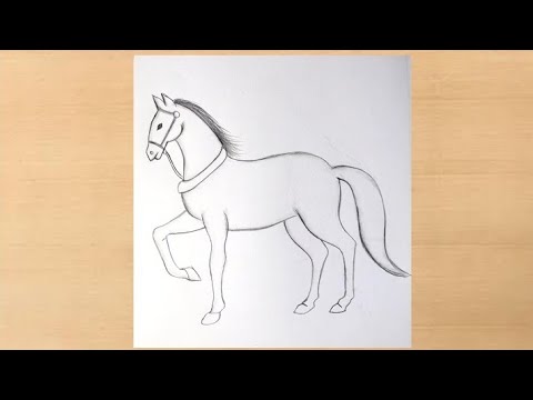 🟢 5 Easy Animal Drawing for Kids - YouTube