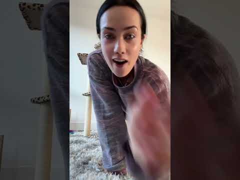 Leopard Print Cat Tree Unboxing Shorts 