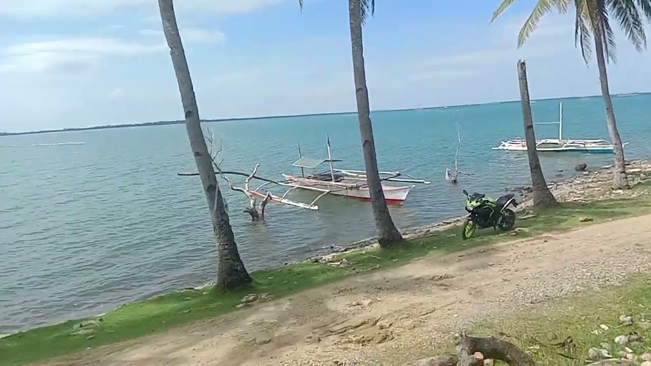 Beachfront lot for sale in Talibon Bohol YouTube