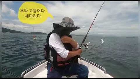 고등어낚시,지금바다는 고등어천지,고등어회