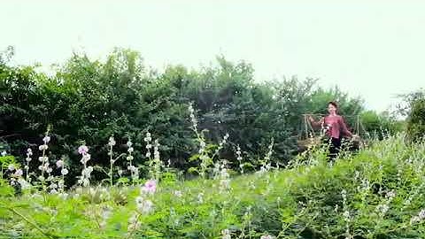 HÌNH TƯỢNG DÒNG SÔNG VÀ CON ĐÒ TRONG CÂU CA QUAN HỌ.