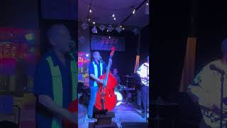 Cindi Lou & The Wholigans. Slapping my Baby Around