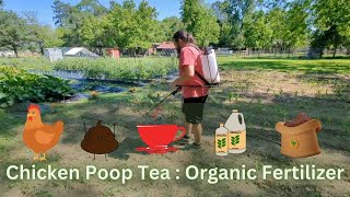 Chicken Poop Tea | Chicken Manure Fertilizer