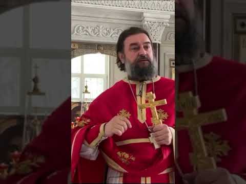 «Люди потеряли радость…», о.Андрей Ткачёв