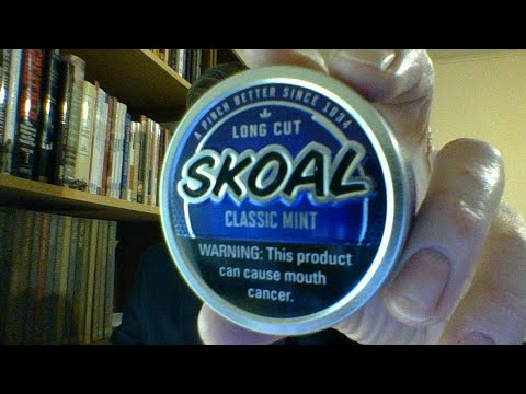 What is it? ~ Skoal LC Classic Mint