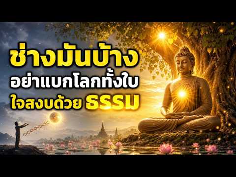 อย่าแบกโลกไว้ทั้งใบ…ช่างมันบ้างก็ได้ ปล่อยวางให้ใจเบา แล้วบุญจะนำทางเอง