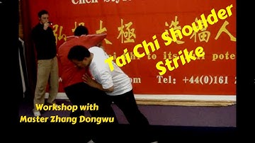 Tai Chi Elbow & Shoulder Power - Zhang Dongwu