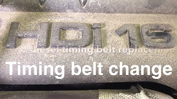 Ford Fiesta 1.4 tdci timing belt replacement. step-by-step guide.