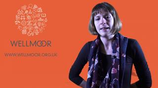 Download Lagu Wellmoor Loneliness 2 MP3