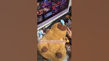 Capybara bị hư lỗ mũi 🥸