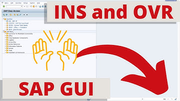 INS and OVR in SAP GUI