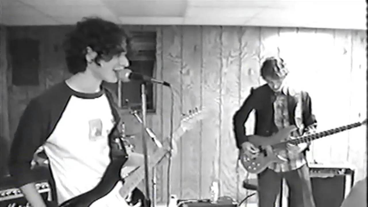 The Aphids: More Than Life Itself