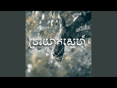 ប្រយោគស្នេហ៍